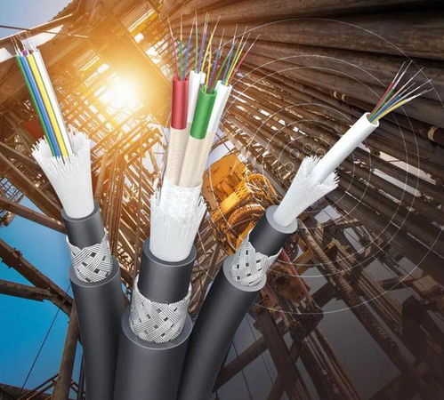 陽(yáng)爾船用網(wǎng)線與光纜成功獲得LR型式認(rèn)可證書，助力船舶通信技術(shù)升級(jí)