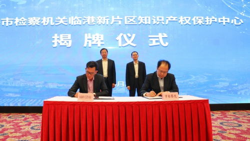 12支專業(yè)辦案團隊入駐上海，深化金融、走私、知識產(chǎn)權(quán)等領(lǐng)域執(zhí)法服務(wù)